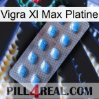 Vigra Xl Max Platinum viagra3